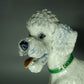 Vintage Cute White Poodle Dog Porcelain Figurine Rosenthal Sculpture Decor #Ru152