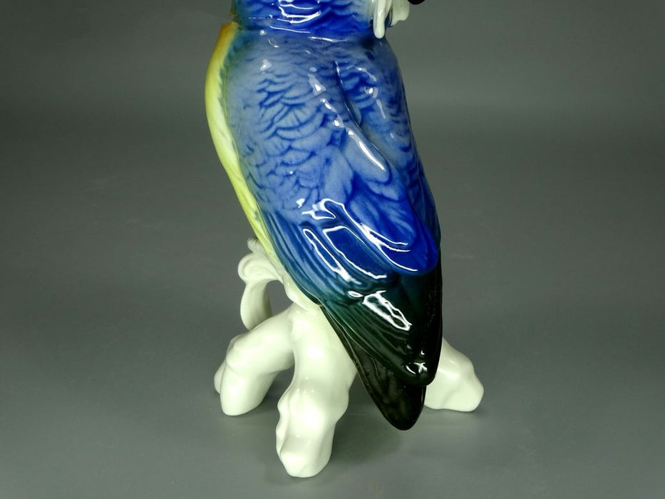 Vintage Blue Cockatoo Porcelain Figurine Original KARL ENS 20th Art Sculpture Dec #Ru905