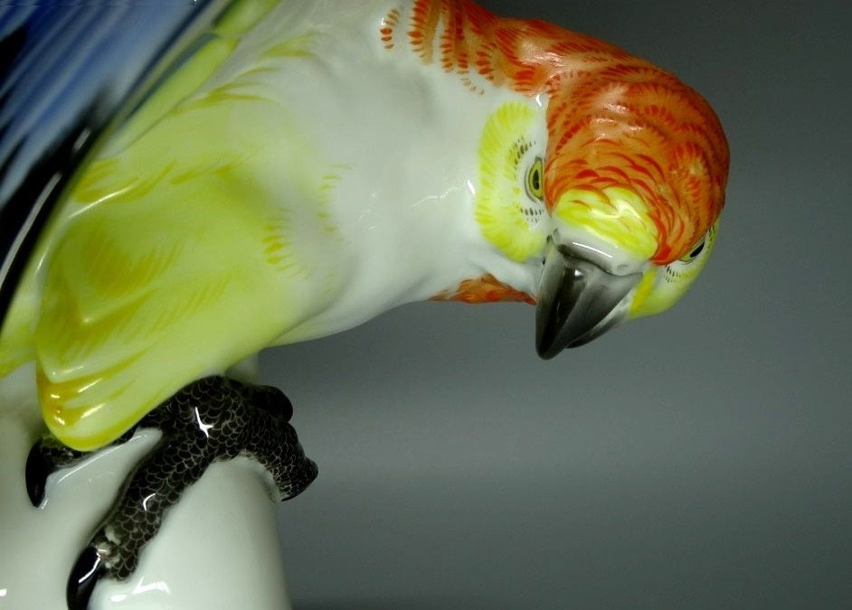 Vintage XL Cockatoo Parrot Porcelain Figurine Original Rosenthal Art Statue Deco #Ru257