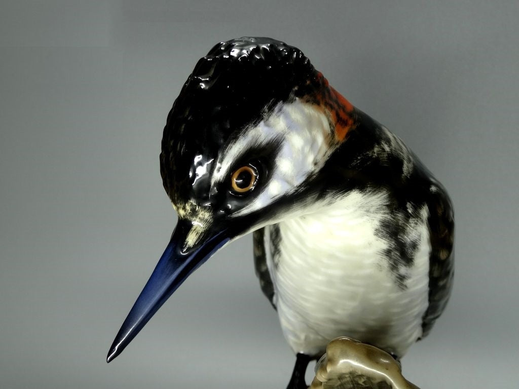 Vintage Black Woodpecker Bird Original Rosenthal Porcelain Figure Art Sculpture #Ru412
