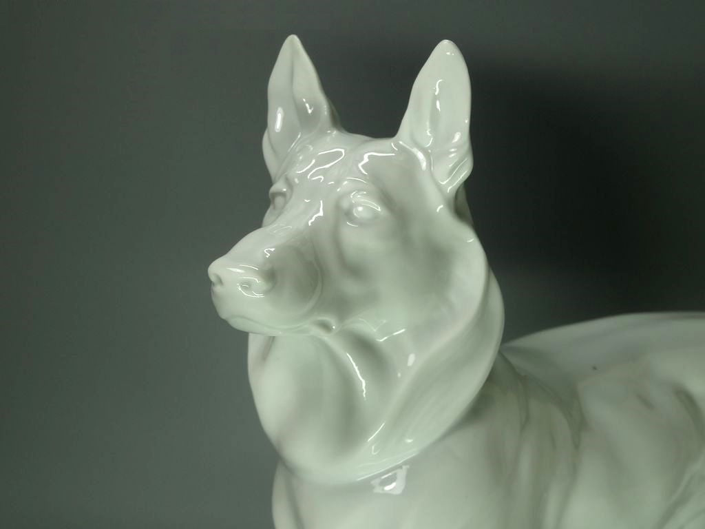 Antique White Sheepdog Original Fraureuth Porcelain Figurine Art Sculpture Decor #Ru425