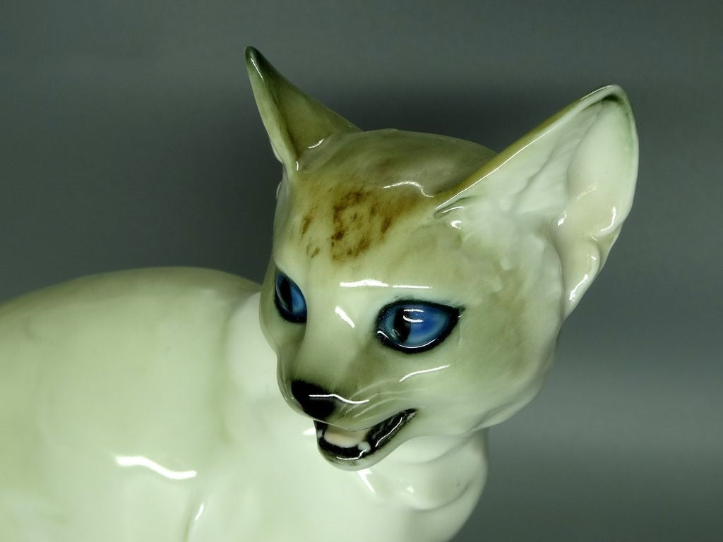 Vintage Siamese Cute Cat Porcelain Figure Hutschenreuther Germany 1965 Art Decor #Ru54