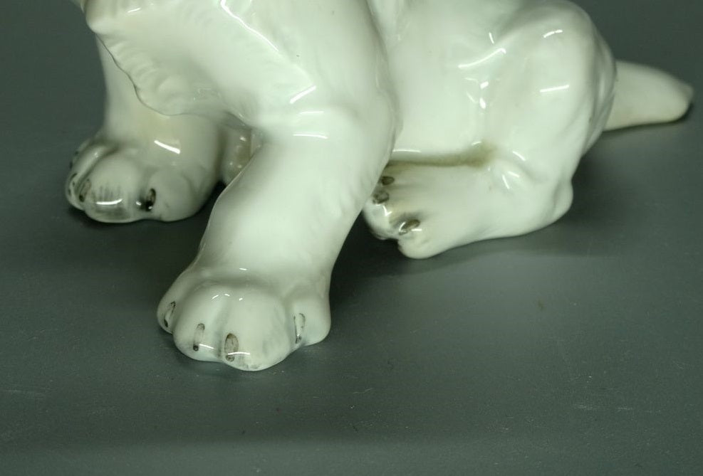 Vintage Labrador Puppy Porcelain Figurine Original Rosenthal Art Sculpture Decor #Ru820