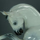Vintage Wild Horse Porcelain Figurine Original Rosenthal 20th Art Sculpture Dec #Ru968