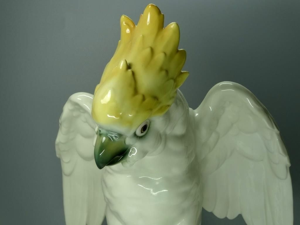 Antique Big Cockatoo Porcelain Figure Original Schwarzburger Art Sculpture Decor #Ru236